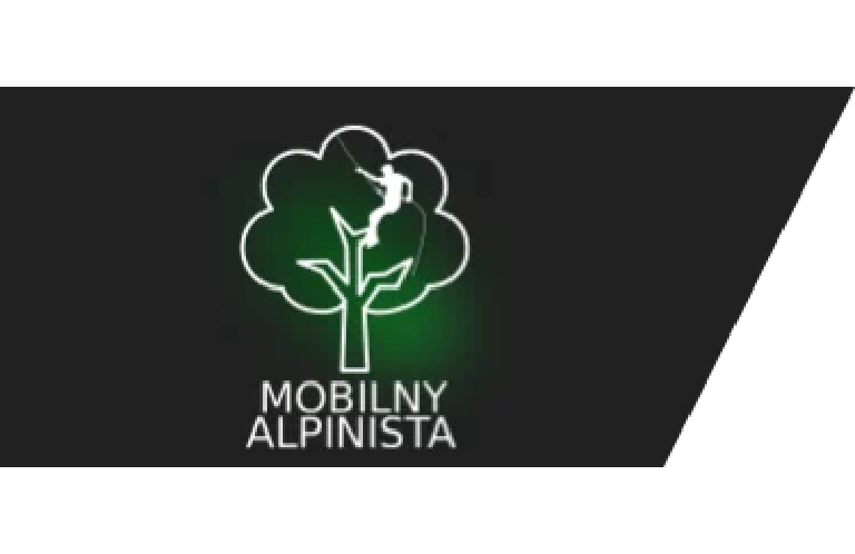 mężczyzna na&nbsp;dachu, komin