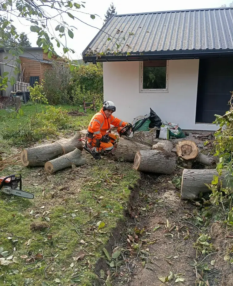 sprzątanie działki