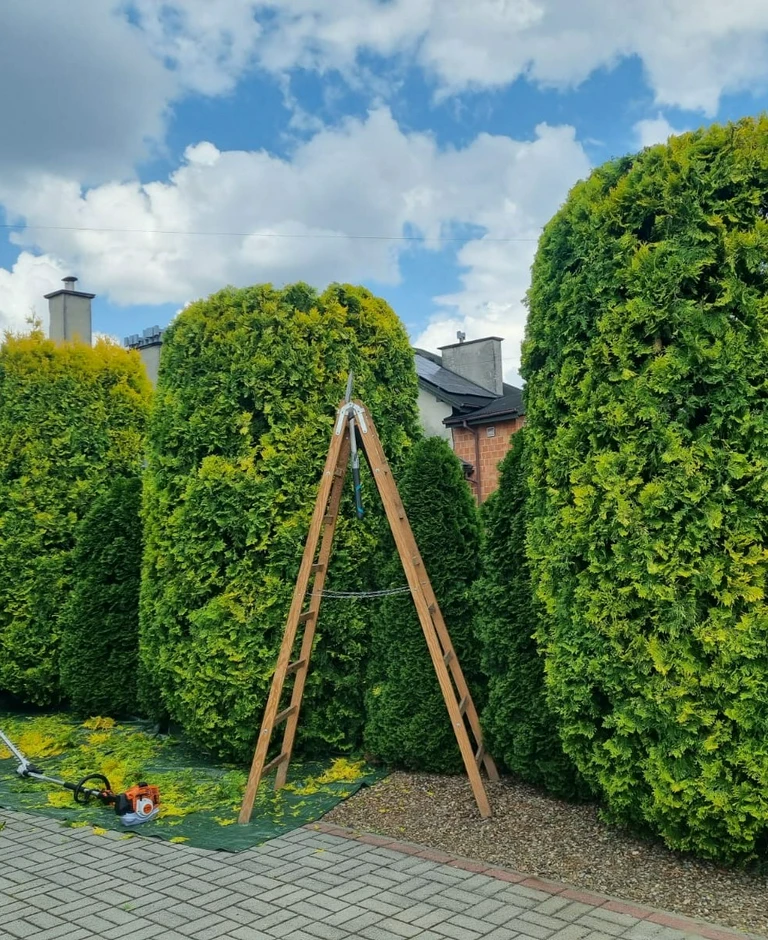 usługi ogrodnicze