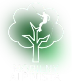 Mobilny Alpinista logo