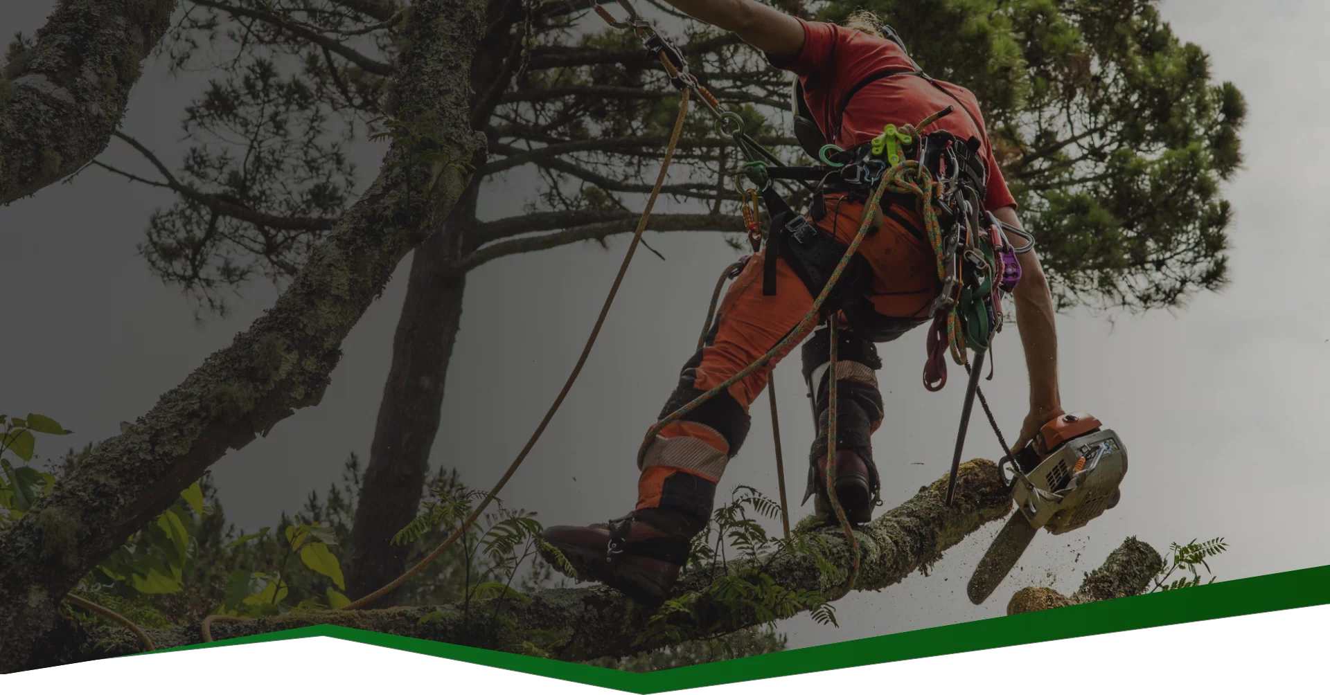 Mężczyzna obcinający gałąź