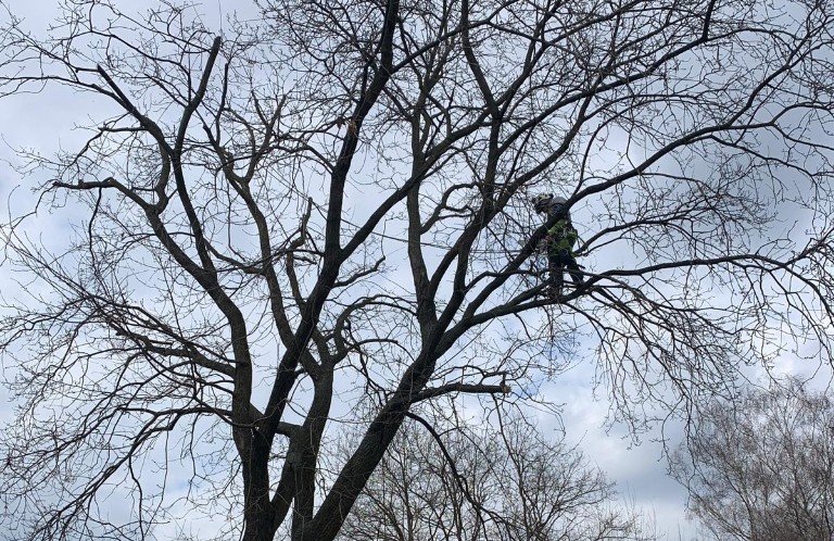 box-offer-c-pakiet-uslug-dla-domu-i-ogrodu-1