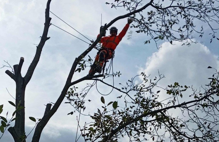 box-offer-c-pakiet-uslug-dla-domu-i-ogrodu